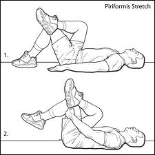 https://eaglerockpt.com/wp-content/uploads/225_Piriformis_1.jpg